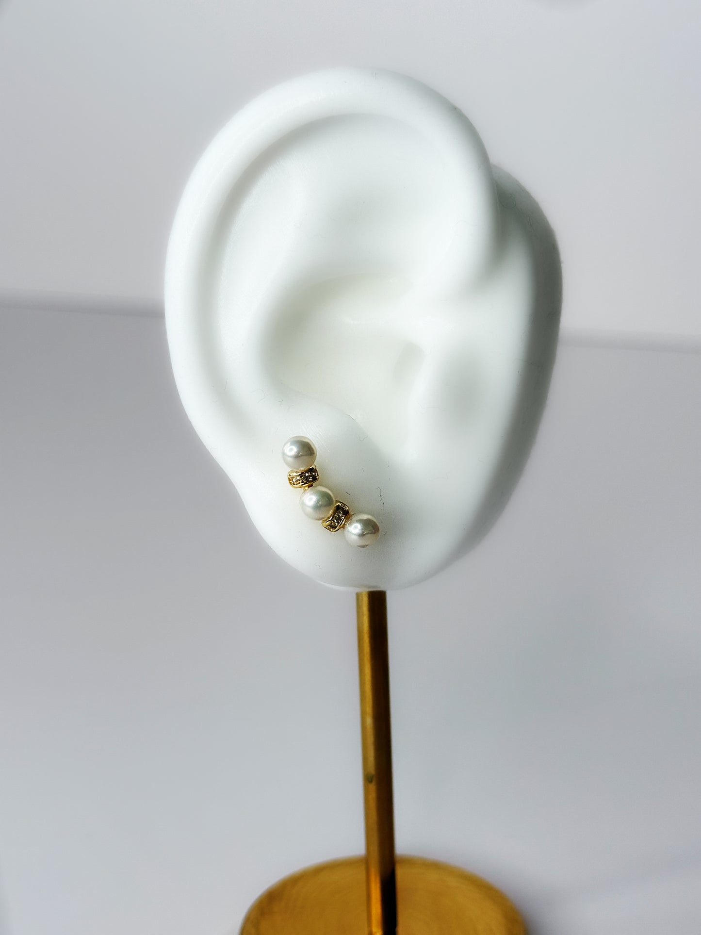 Lynn Pearl Crest