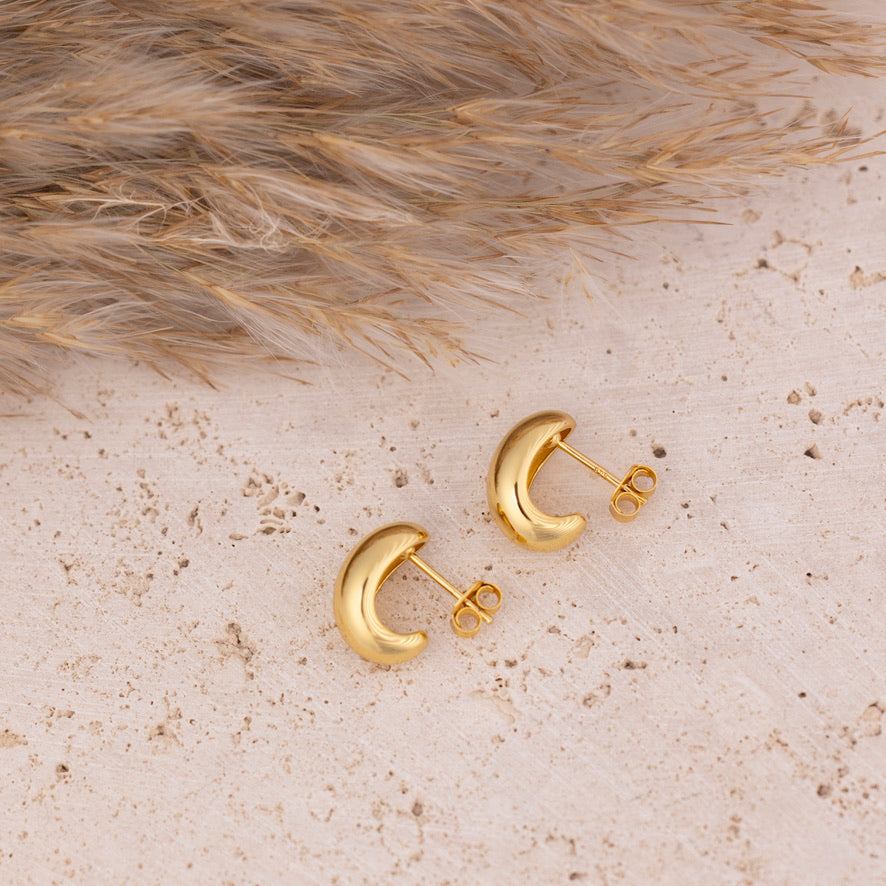 Honey Curve Earrings