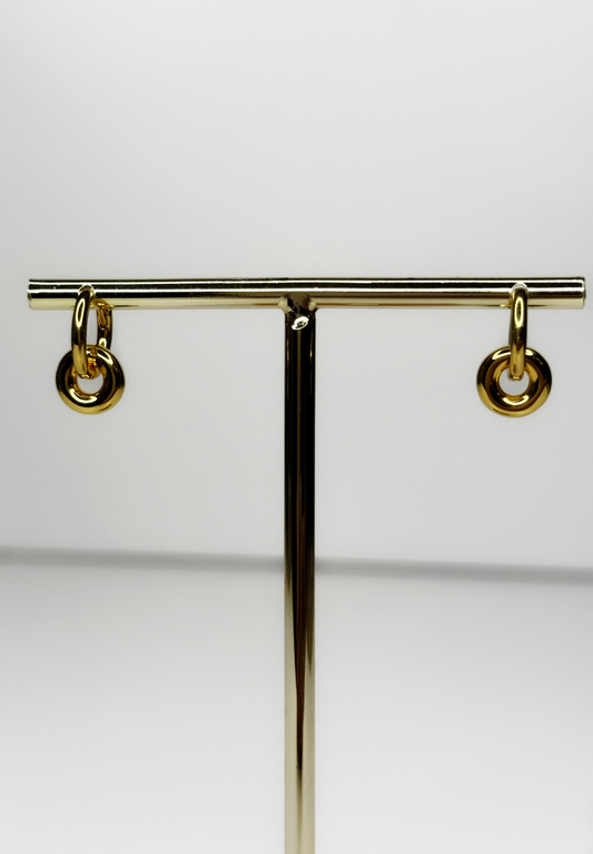 Golden Duo Earrings